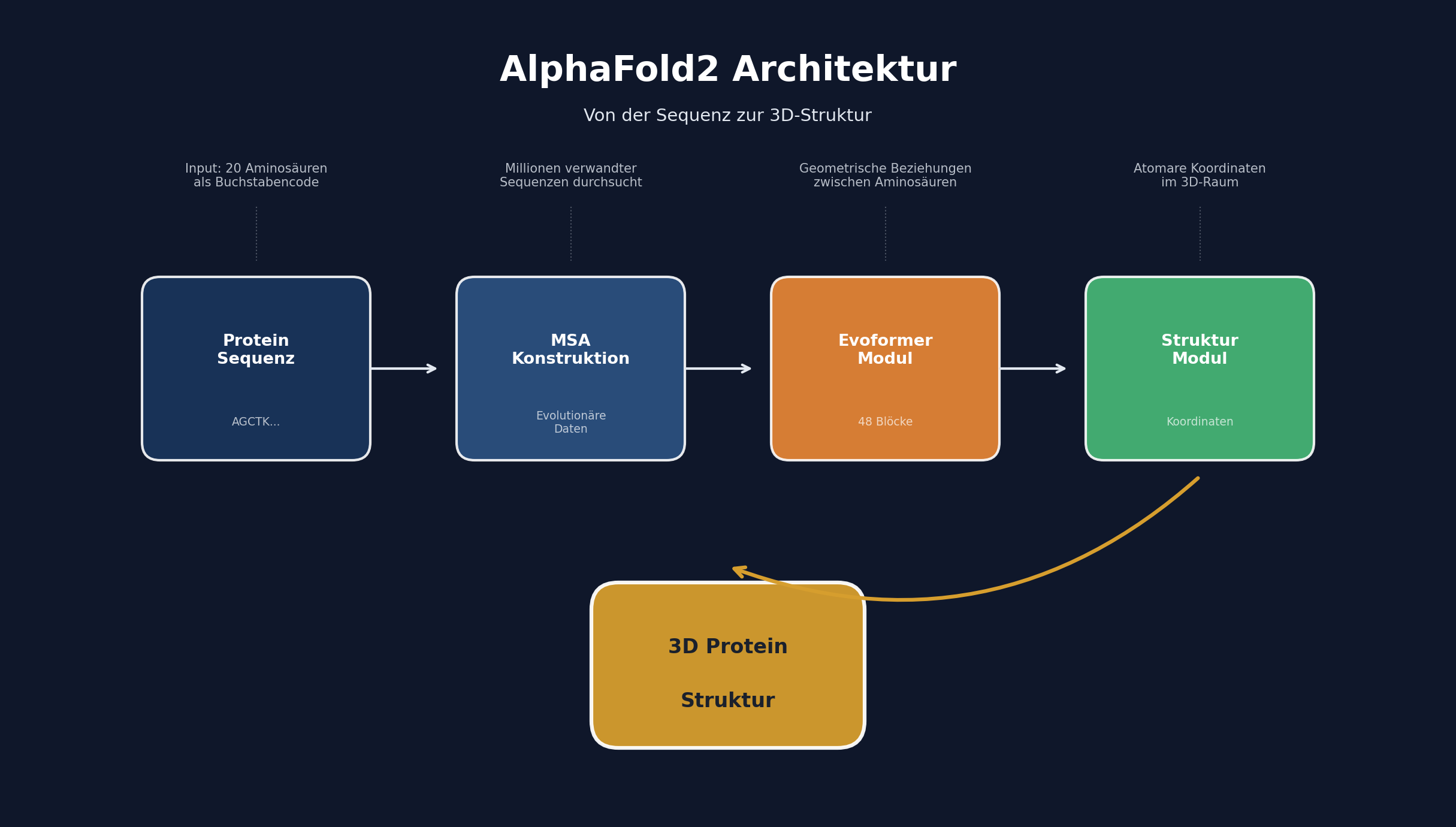 AlphaFold2 Architektur